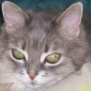 Meet your Posher, Sherry